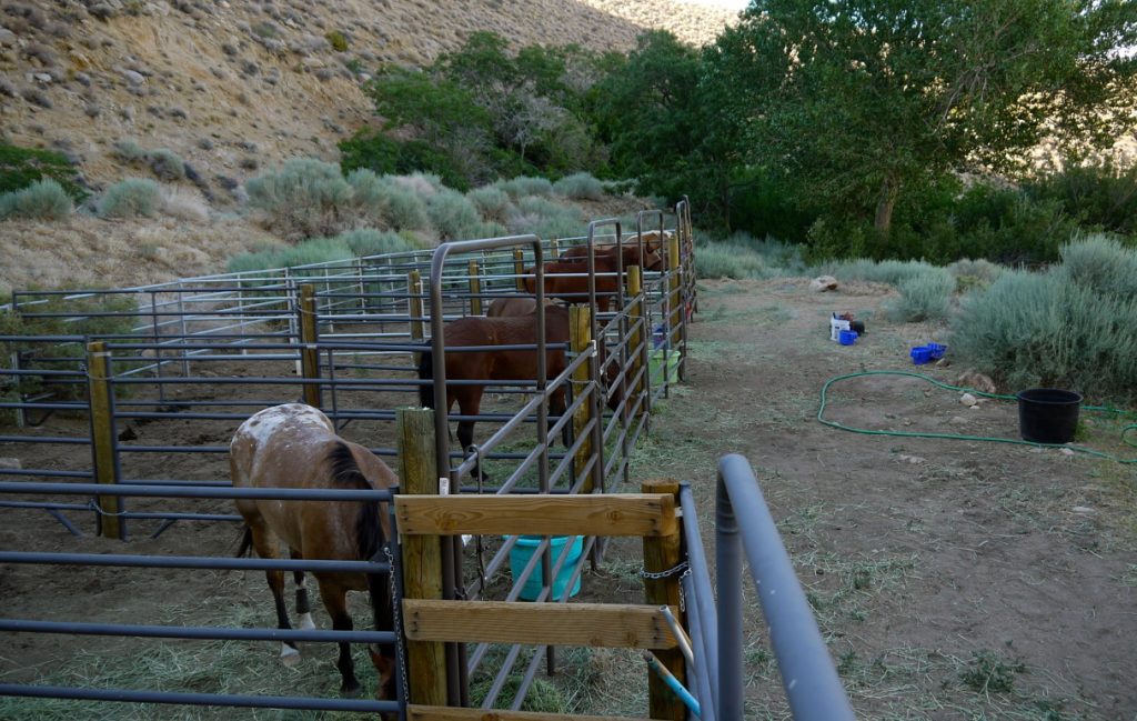 PIPE CORRALS