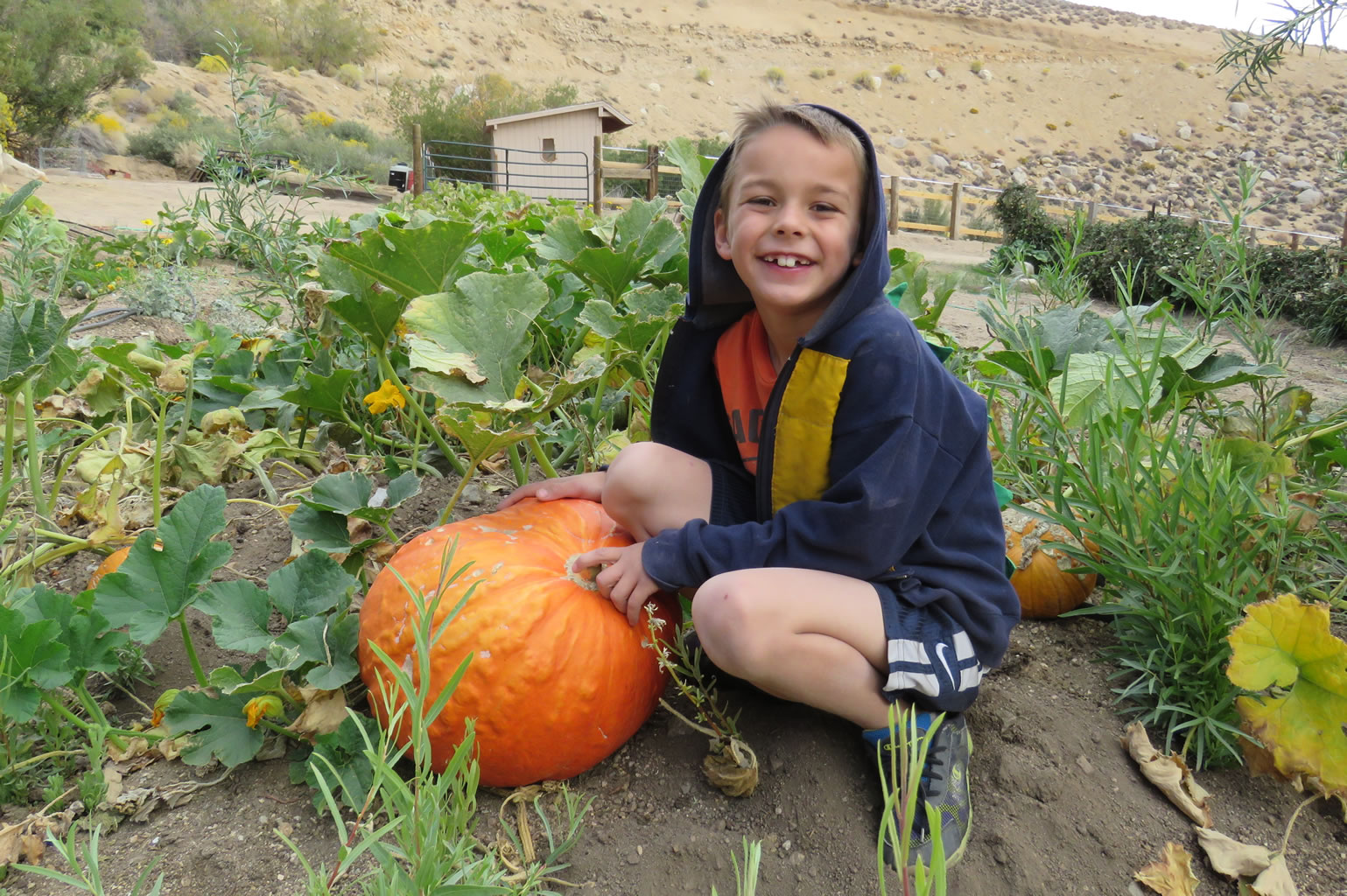 DeLaCour-Ranch kids and pumpkins
